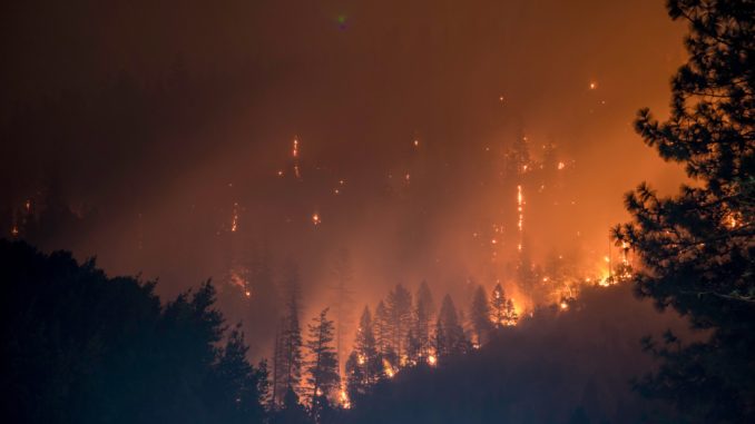 Campanya de prevenció d'incendis forestals